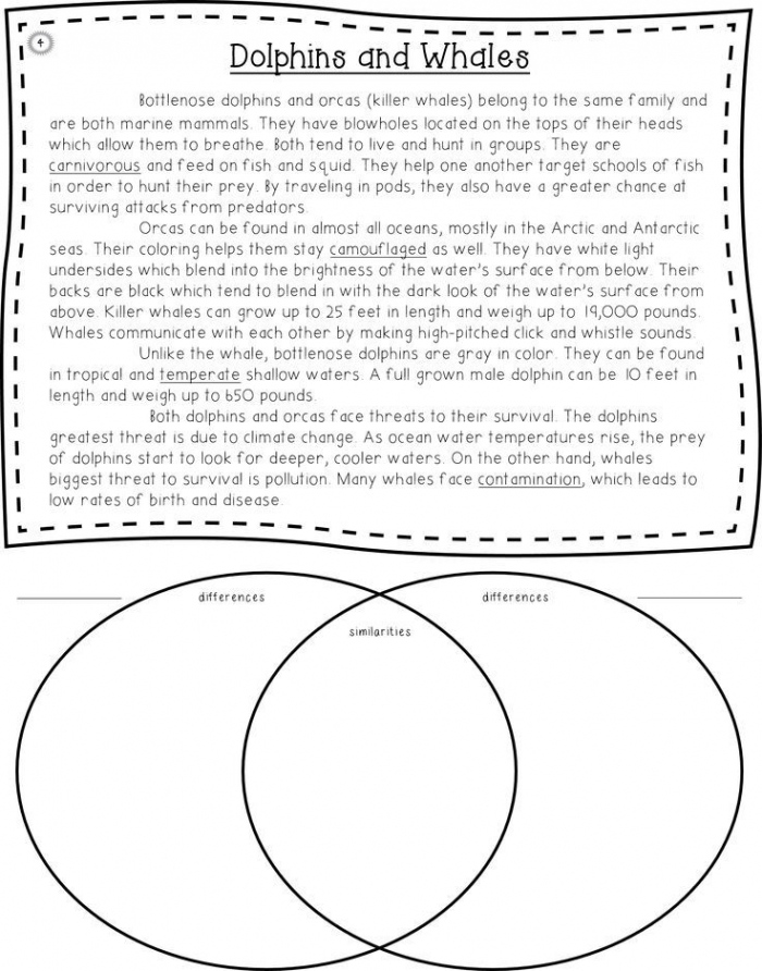 printable-compare-and-contrast-worksheets-peggy-worksheets