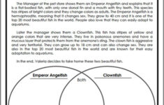 Teacher Neidinha Franca Free Compare and contrast Worksheets