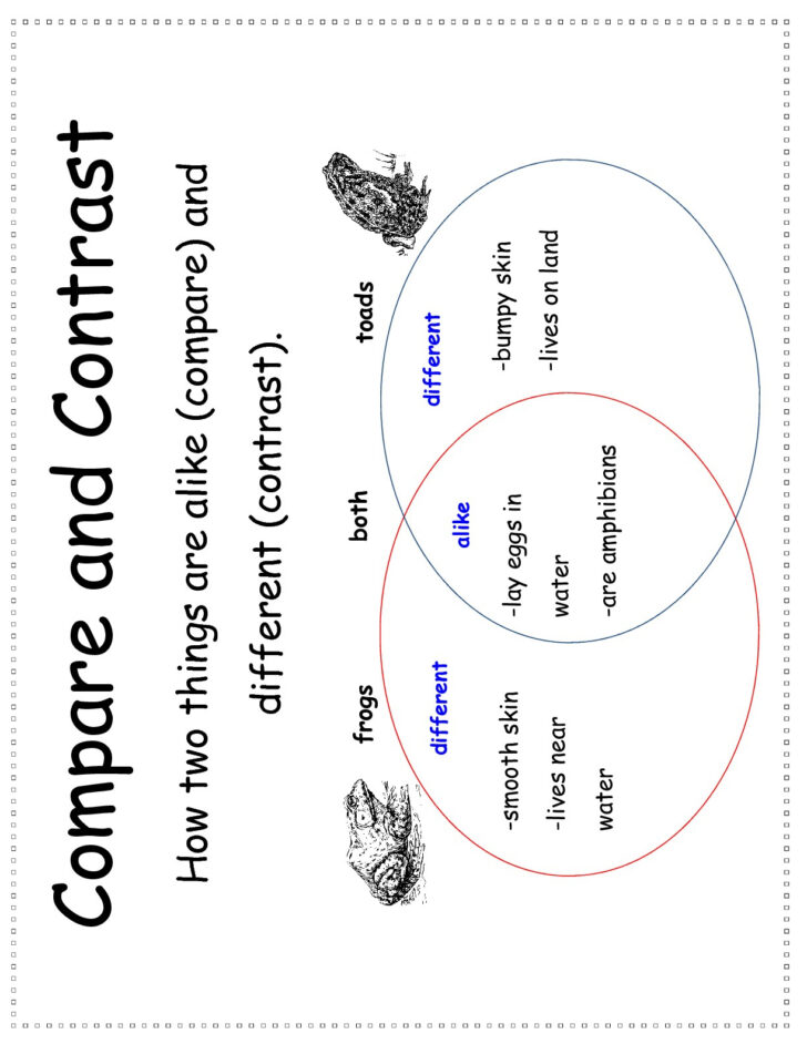 Printable Compare And Contrast Worksheets Peggy Worksheets