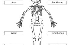 science worksheets ks2 printable Bbc Teachers Ks2 Science Worksheet Moving And Growing By Consuelo
