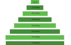 Christmas Tree Measurement Math Worksheet: Inches | Teachtastic intended for Christmas Measurement Worksheets
