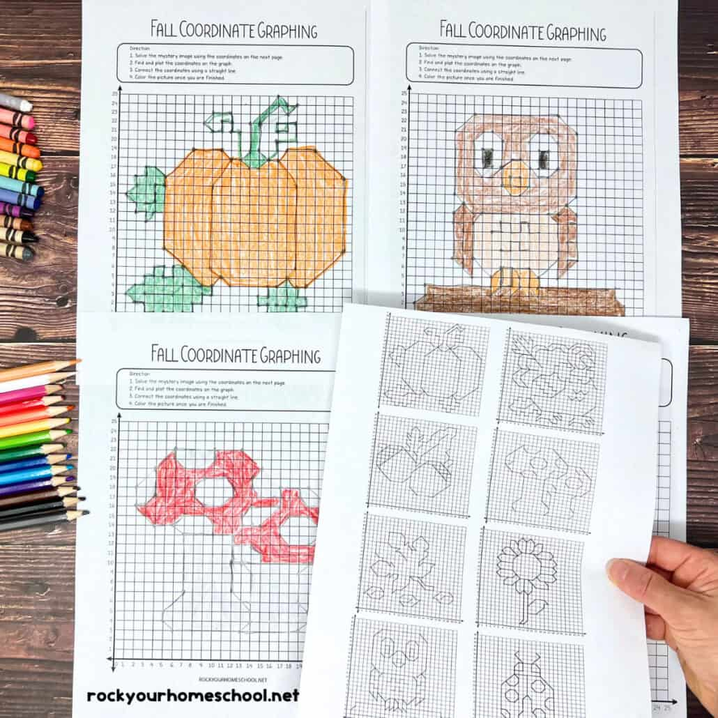 Coordinate Graphing Pictures: How To Use For Fall Fun (Free)- Rock for Thanksgiving Coordinate Graphing Picture Worksheets Free
