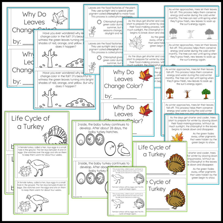 Thanksgiving Science Worksheets