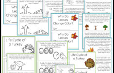 Thanksgiving Science Worksheets No Prep Acitivities - Thrifty In in Thanksgiving Science Worksheets Free