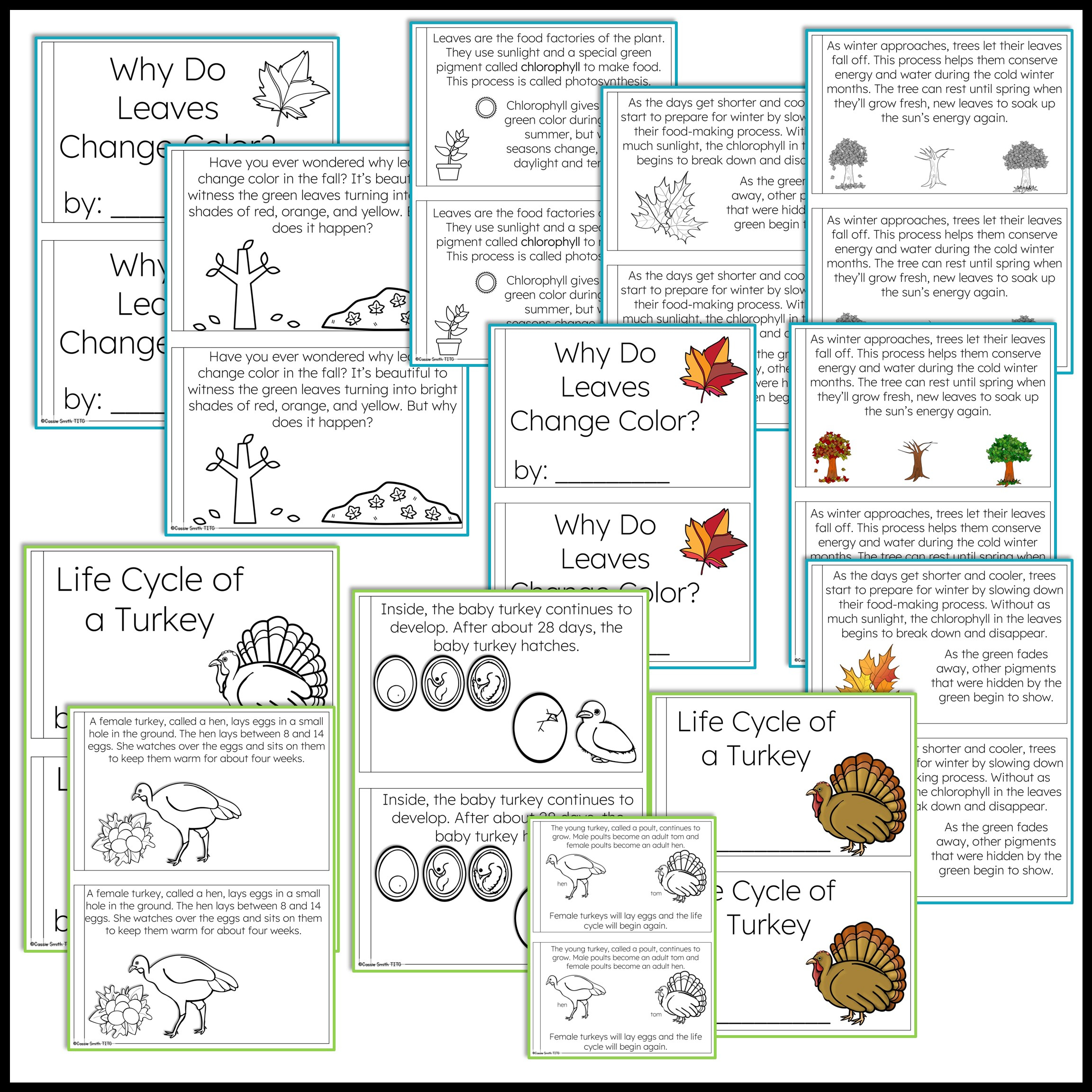 Thanksgiving Science Worksheets No Prep Acitivities - Thrifty In in Thanksgiving Science Worksheets Free