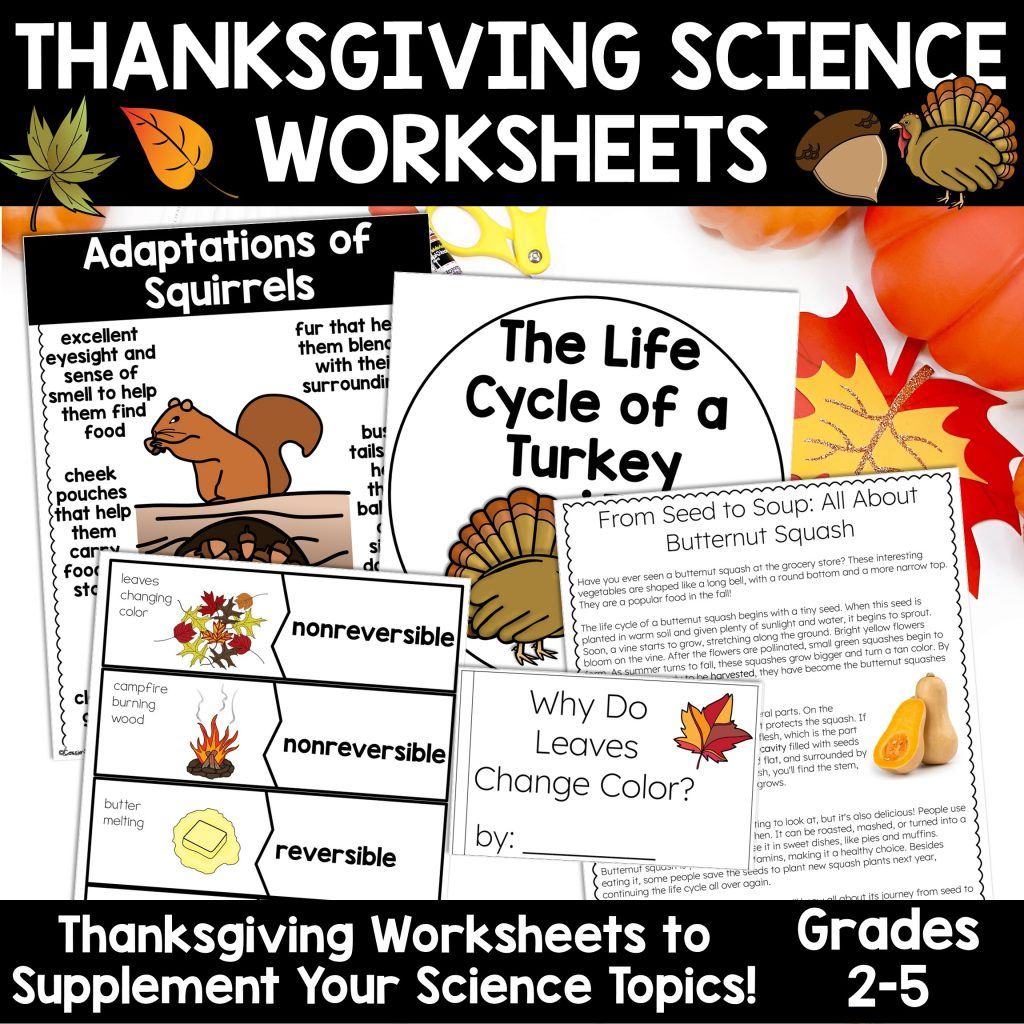 Thanksgiving Science Worksheets No Prep Acitivities - Thrifty In regarding The Science of Thanksgiving Worksheet