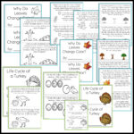 Thanksgiving Science Worksheets No Prep Acitivities   Thrifty In Throughout Thanksgiving Science Worksheet