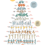 12 Days Of Christmas Song Gifts Cost This Much   Blog Regarding Cost Of The 12 Days Of Christmas Worksheets