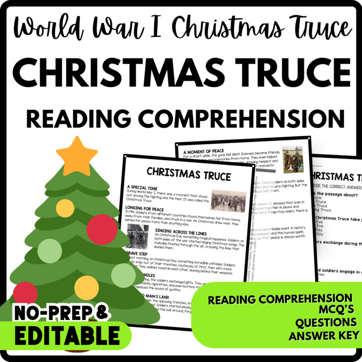 The Christmas Truce Worksheets