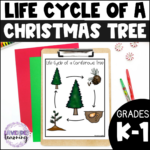 Life Cycle Of A Christmas Tree Activities, Worksheets, Booklet For Life Cycle Of A Christmas Tree Worksheets