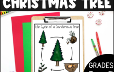 Life Cycle Of A Christmas Tree Activities, Worksheets, Booklet for Life Cycle Of A Christmas Tree Worksheets