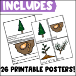 Life Cycle Of A Christmas Tree Activities, Worksheets, Booklet Within Life Cycle Of A Christmas Tree Worksheets