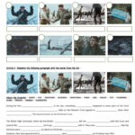 Ww1 : The Christmas Truce ( Sainbury…: English Esl Worksheets Pdf Pertaining To The Christmas Truce Worksheets