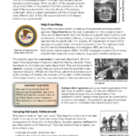 Executive Branch Overview: The Role Of Departments & Agencies Intended For The President's Cabinet Executive Branch Departments Worksheet Answers